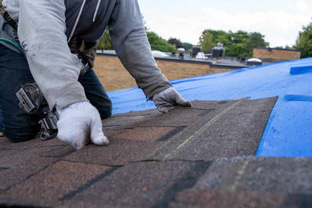 Best Best Roofing Contractors  in Occoquan, VA