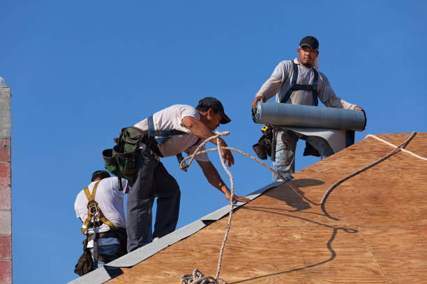 Best Emergency Roof Repair  in Occoquan, VA