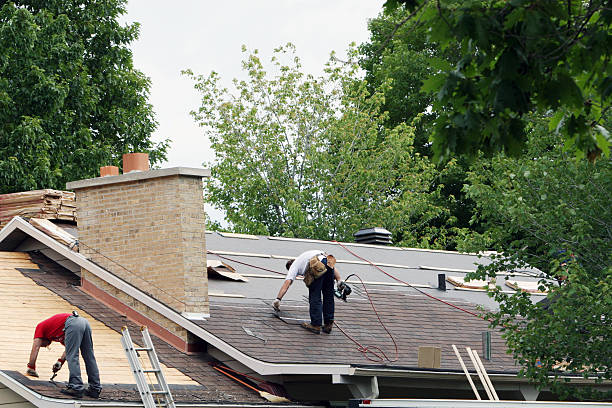 Best Storm Damage Roof Repair  in Occoquan, VA